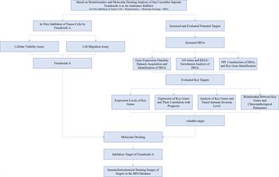 Anti-tumor target screening of sea cucumber saponin Frondoside A: a bioinformatics and molecular docking analysis